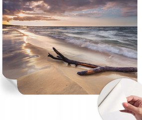 Dekoratív Öntapadós Tapéta Divatos Minták Nyugati tengerpart 312x219 cm