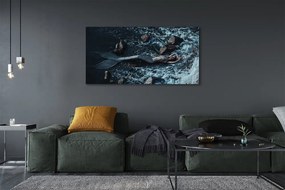 Canvas képek tenger sziréna 100x50 cm