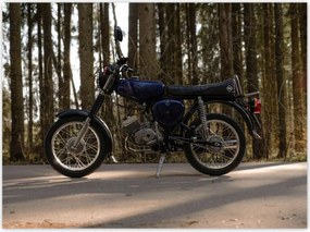 Poszterek 135x100 Simson hármas villogókkal