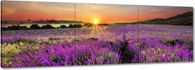 Vászonkép 150x50 Levendulamező Nyugat