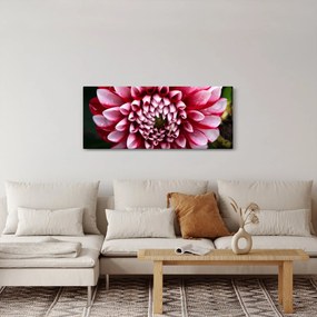 Rózsaszín dália képe (120x50 cm)