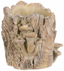 Beton burkolat - tusk with mushrooms, 20 x 18 x 18cm
