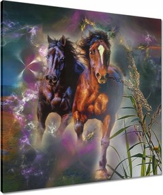 Vászonkép 60x60 Galoppozó lovak Ló