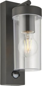 ENDON 99756 HAYDEN Fali Lámpa Mozgásérzékelővel Grafit, Átlátszó IP44