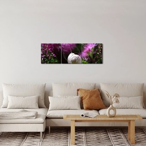 Kép - Csigaház (órával) (90x30 cm)