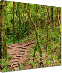 Vászonkép 30x30 Gyalogtúra