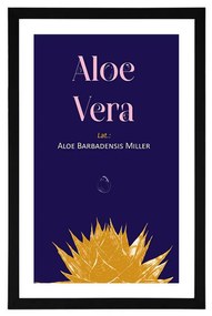 Poszter paszportuval  Aloe Vera felirattal