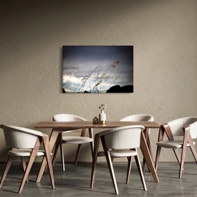 Kép - Rét virágai a tónál (90x60 cm)