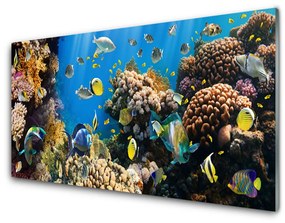 Akrilkép Barrier Reef Nature 100x50 cm 4 fogas