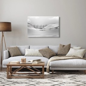 Kép - ezüst táj (90x60 cm)