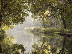 Poszter 40x30cm Basingstoke csatorna 3, Assaf Frank