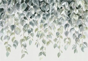 Fotótapéta Levelek Lógó Természet Hálószoba Nappali Tapéta Flizelina 300x210