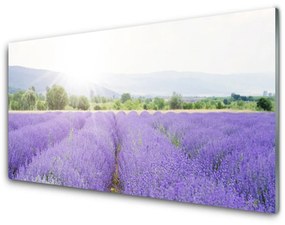 Üvegfotó Lavender Field Mező Természet 120x60cm