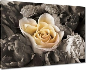 Vászonkép 70x50 Tearózsa