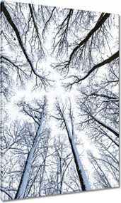 Vászonkép 70x100 Fa Kilátás