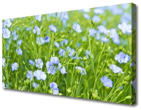 Vászonkép Virág Plant Grass Nature 100x50 cm