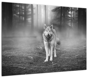 Kép - erdő őr, fekete-fehér (70x50 cm)