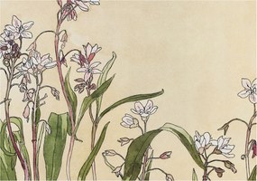 Stílusos Dekoratív fotótapéta Flizelin Virágos elegancia 208x146