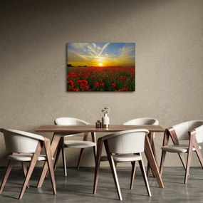 Egy kép a pipacs mezőről (70x50 cm)