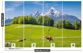 Fotótapéta Alps tehenek 104x70 cm