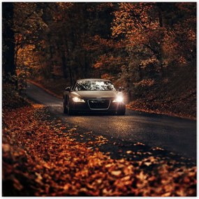 Poszterek 30x30 Audi Őszi tájkép