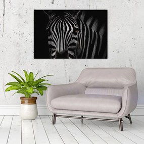 Zebra képe (90x60 cm)