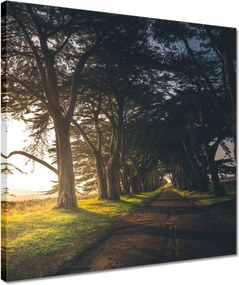 Vászonkép 40x40 Tájkép Látvány