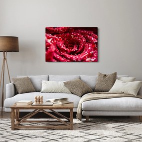 Vörös rózsa virágzata képe (90x60 cm)