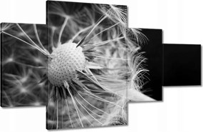 Vászonkép 130x80 Pitypang Virág Virágok