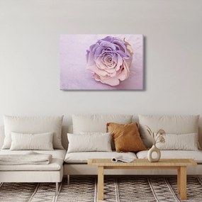 Egy rózsa virág részlete (90x60 cm)