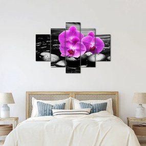 Kép - Lila orchideák (150x105 cm)