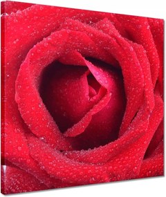 Vászonkép 40x40 Nőnap Ajándék Love