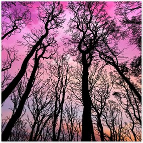 Poszterek 140x140 Tájkép Látvány