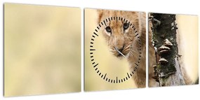 Egy oroszlán kölyök képe (órával) (90x30 cm)