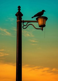 Poszter 25x35cm Nyugat a Lámpásban