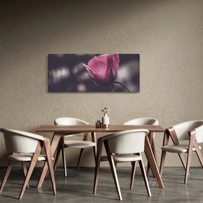 Kép - Rózsa virág részlete (120x50 cm)