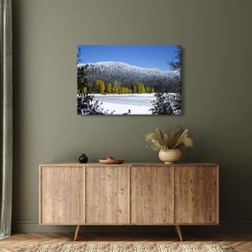 Kép - havas hegyek télen (90x60 cm)