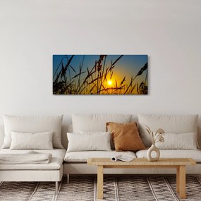 Kép - naplemente a réten (120x50 cm)