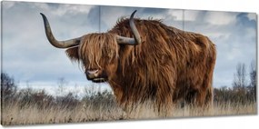 Vászonkép 150x70 Felvidéki fajta tehén