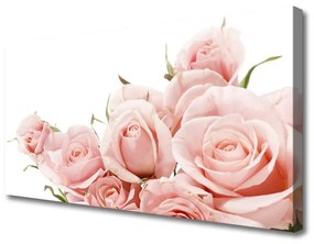 Vászonkép Rózsa virágok Plant 125x50 cm
