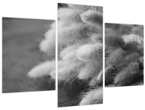 Kép - nyúlfarknyi fű az asztalon (90x60 cm)