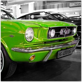 Poszterek 100x100 Lime klasszikus Ford