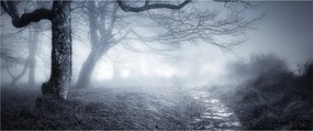Kép - Út a ködben (120x50 cm)