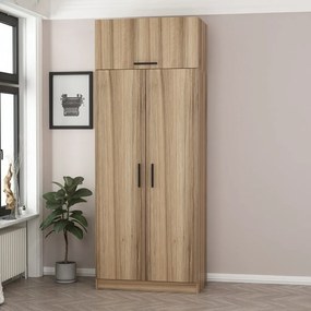 Kale Oak - 2237