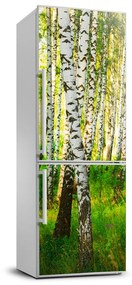Hűtő matrica Nyírfa erdő FridgeStick-70x190-f-116168372