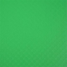 Bemutatómappa, 30 zsebes, A4, EXACOMPTA Opak, zöld (EX8833E)