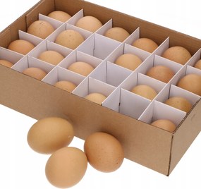 Natúr Húsvéti tojás 24db