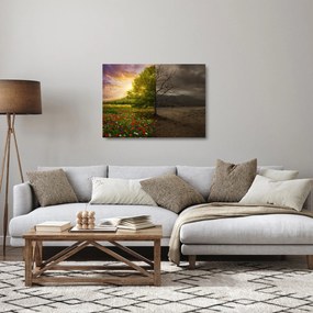 Kép - Életciklus (üvegen) (70x50 cm)