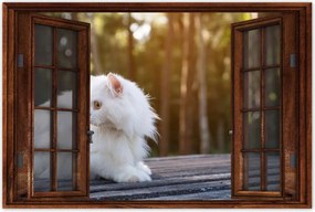 Poszterek 120x80 Cica Cicák