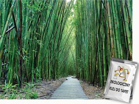 Fotótapéta Flizelina Természet Trópusi erdő Bambusz ösvény 100x75 ragasztó